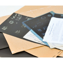 Мамологічна плівка