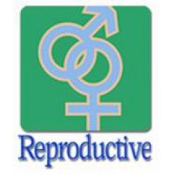 Фертильность и репродукция
