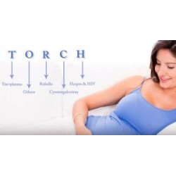 Torch панель