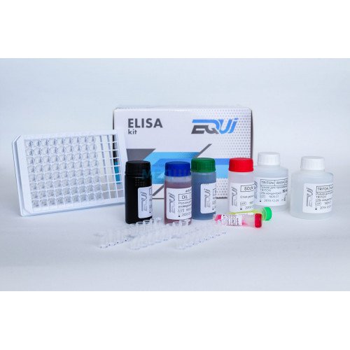 ІФА-набір для якісного виявлення антитіл класу IgA до вірусу SARS-CoV-2