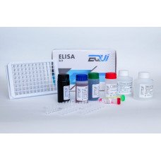 ИФА-набор для качественного выявления антител класса IgA к вирусу SARS-CoV-2